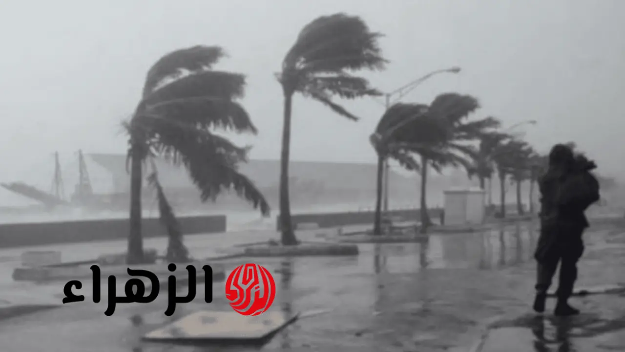 الأرصاد تحذر من شبورة وأمطار ورياح مستمرة حتى يوم الخميس المقبل